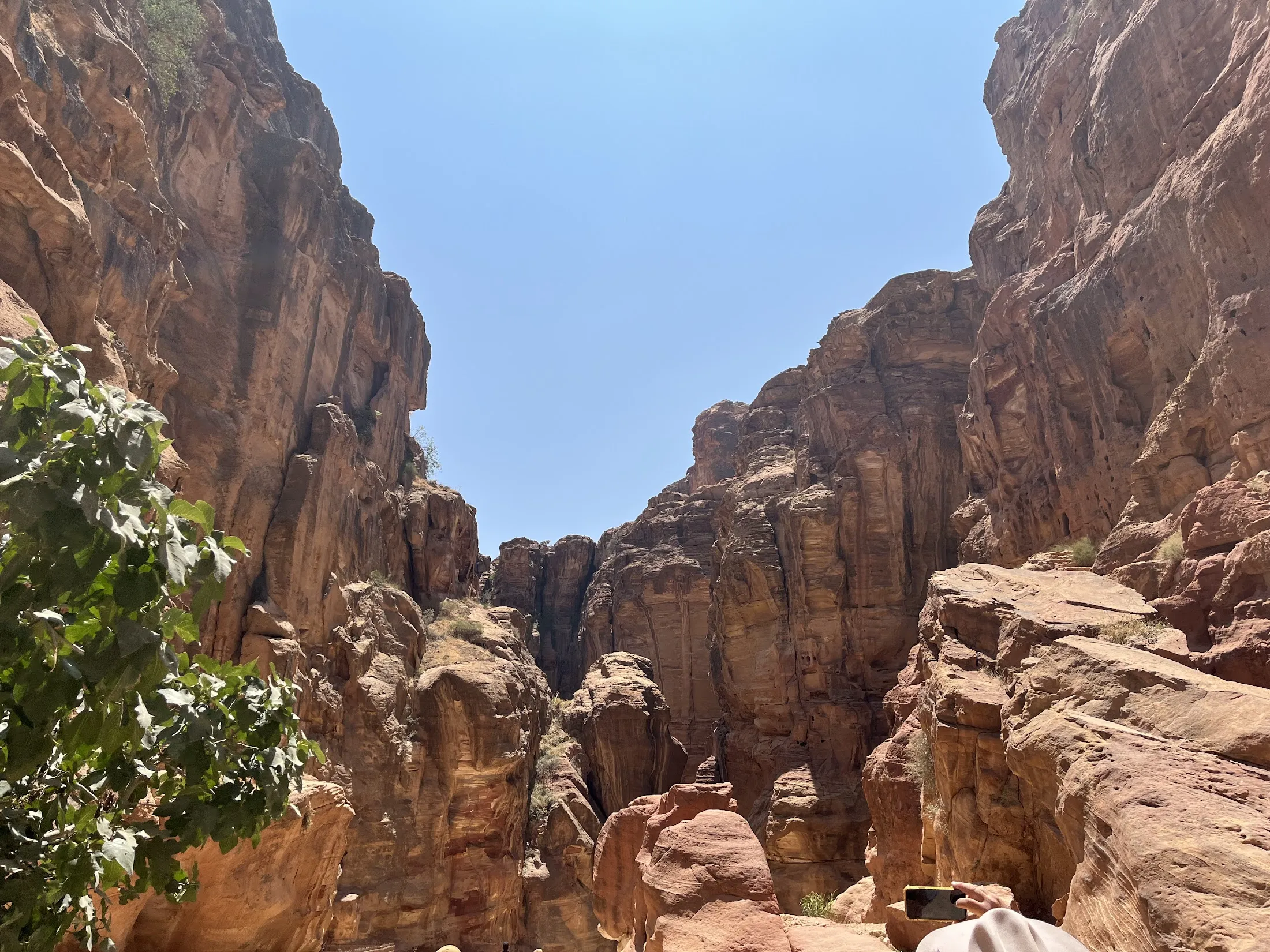 rocks