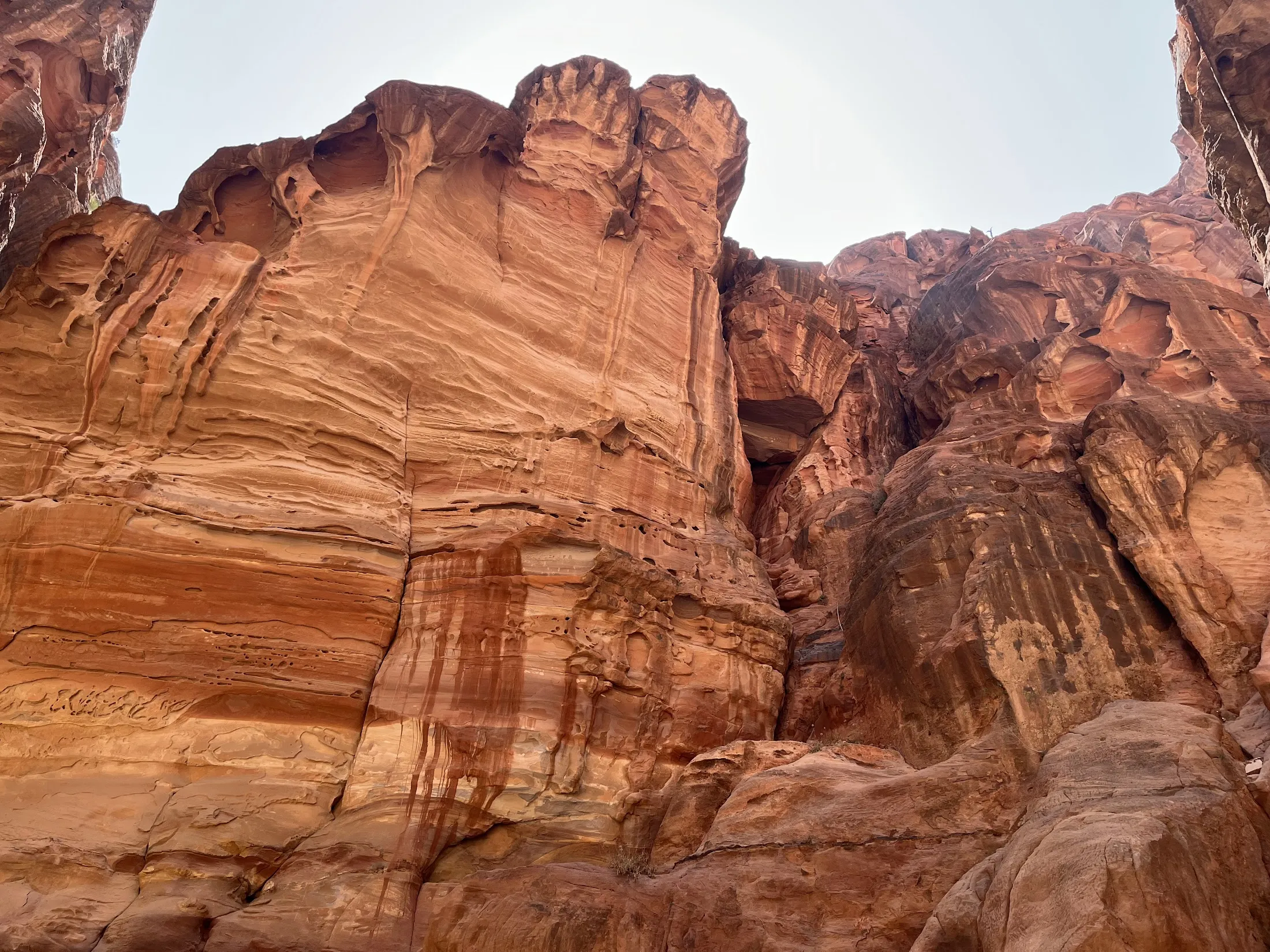rocks