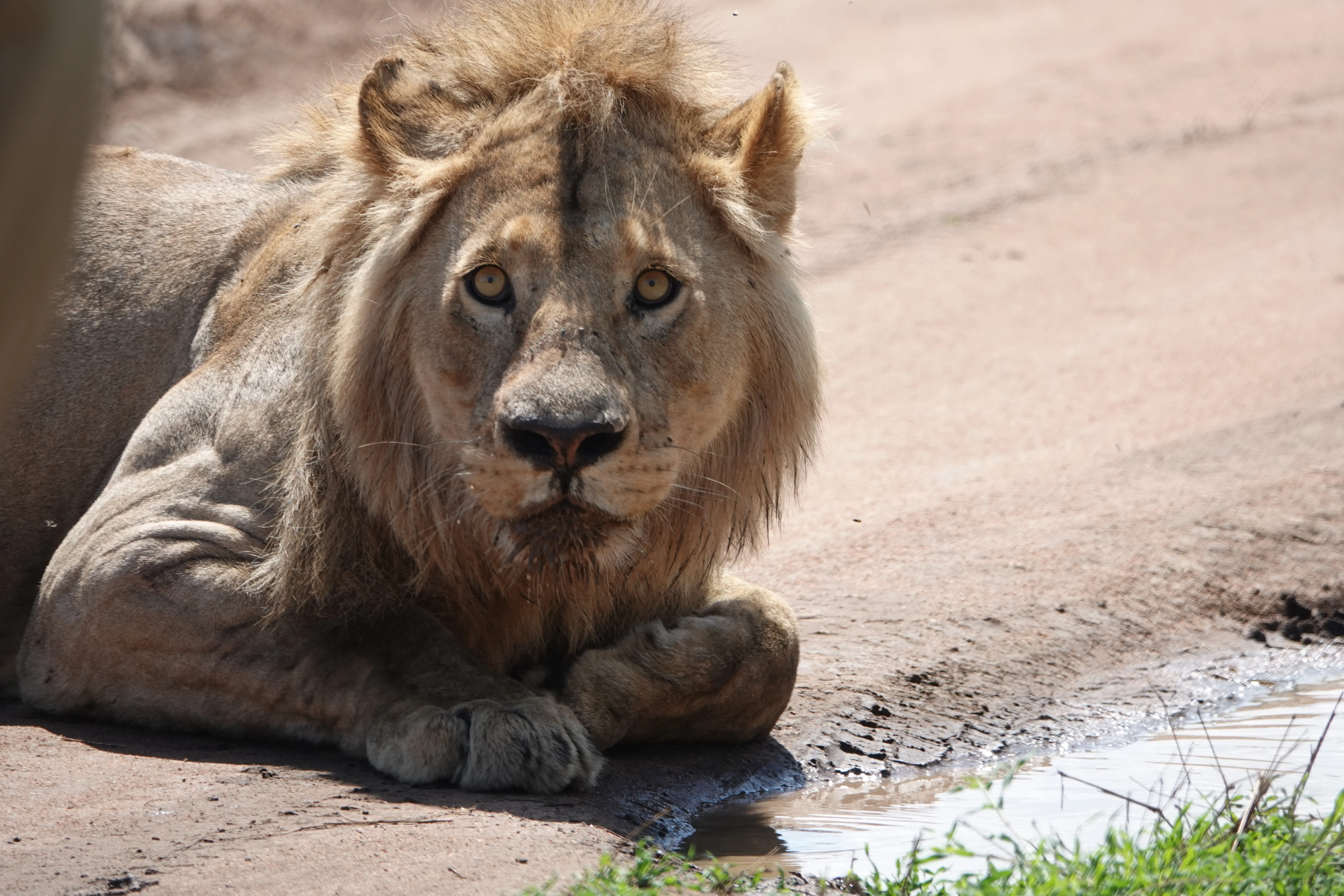 Tanzania 01250