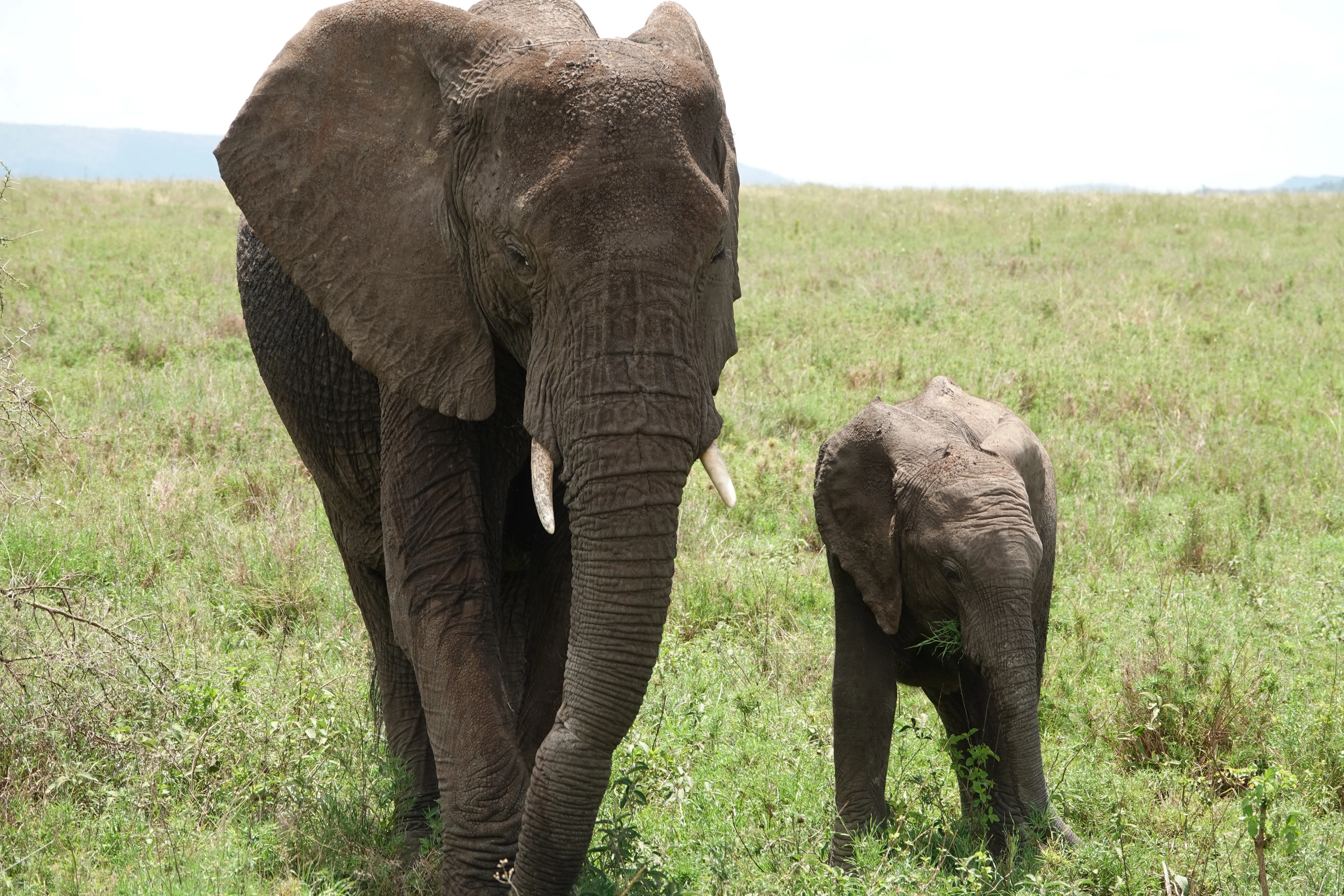 Tanzania 01321