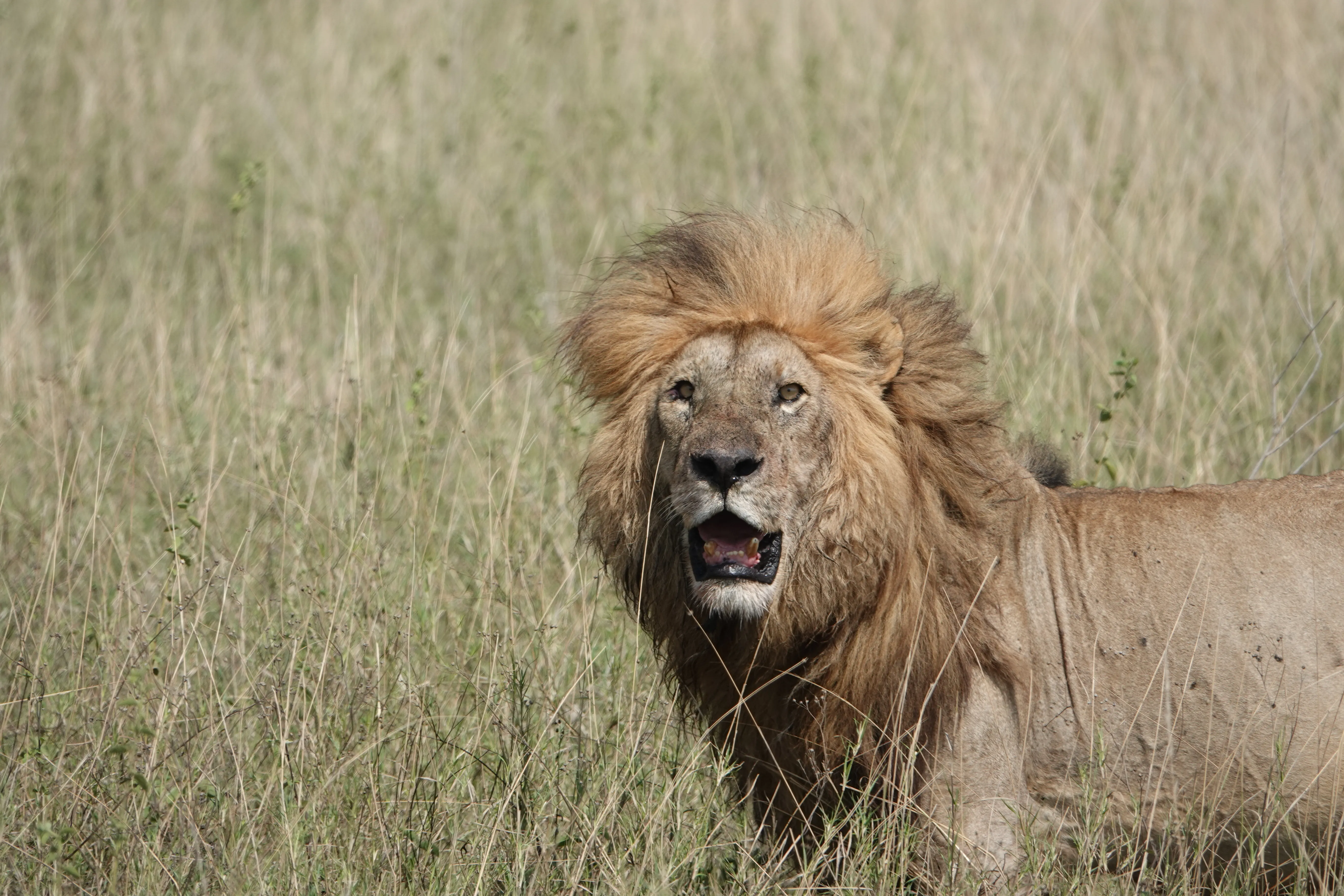 Tanzania 01357