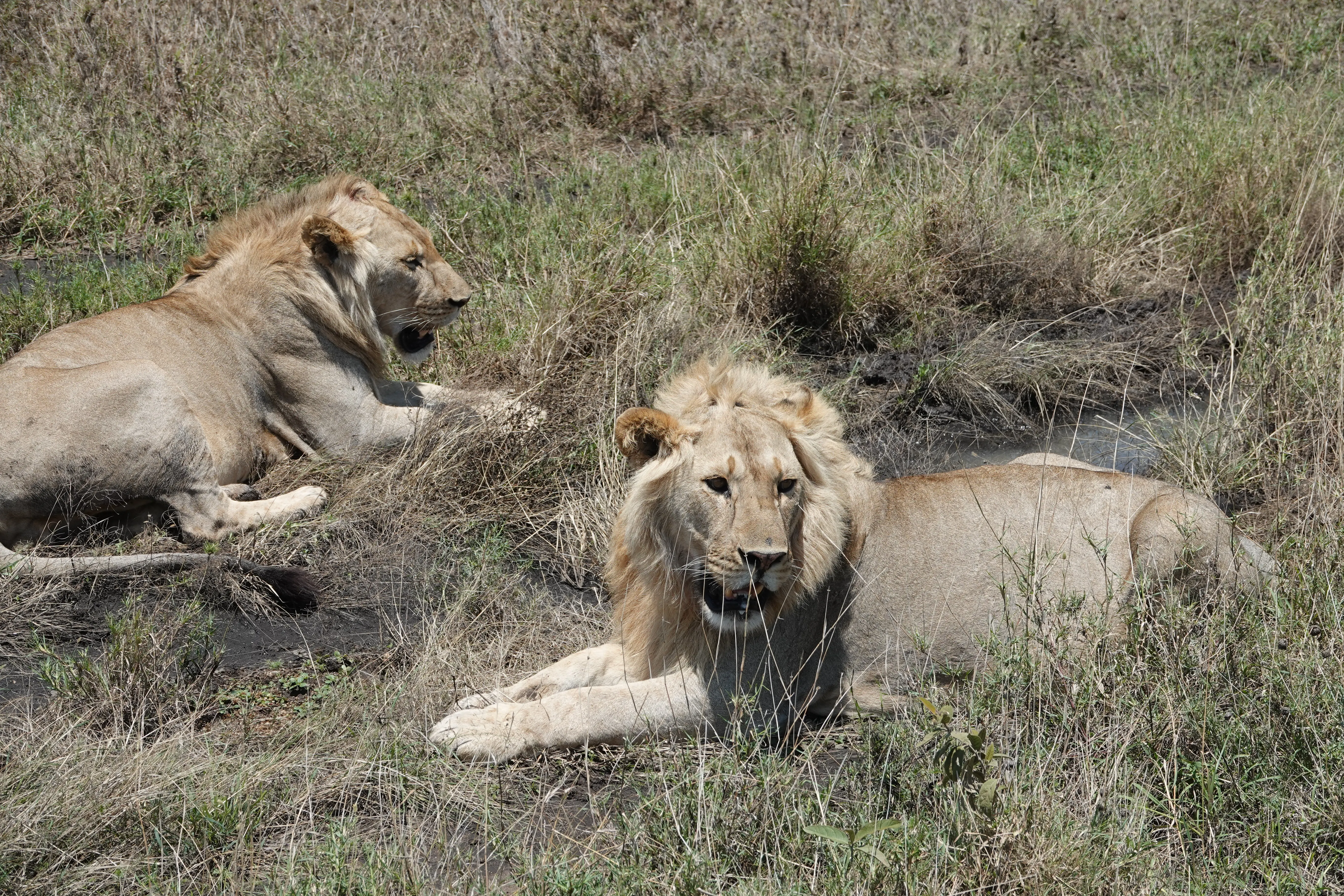 Tanzania 01494