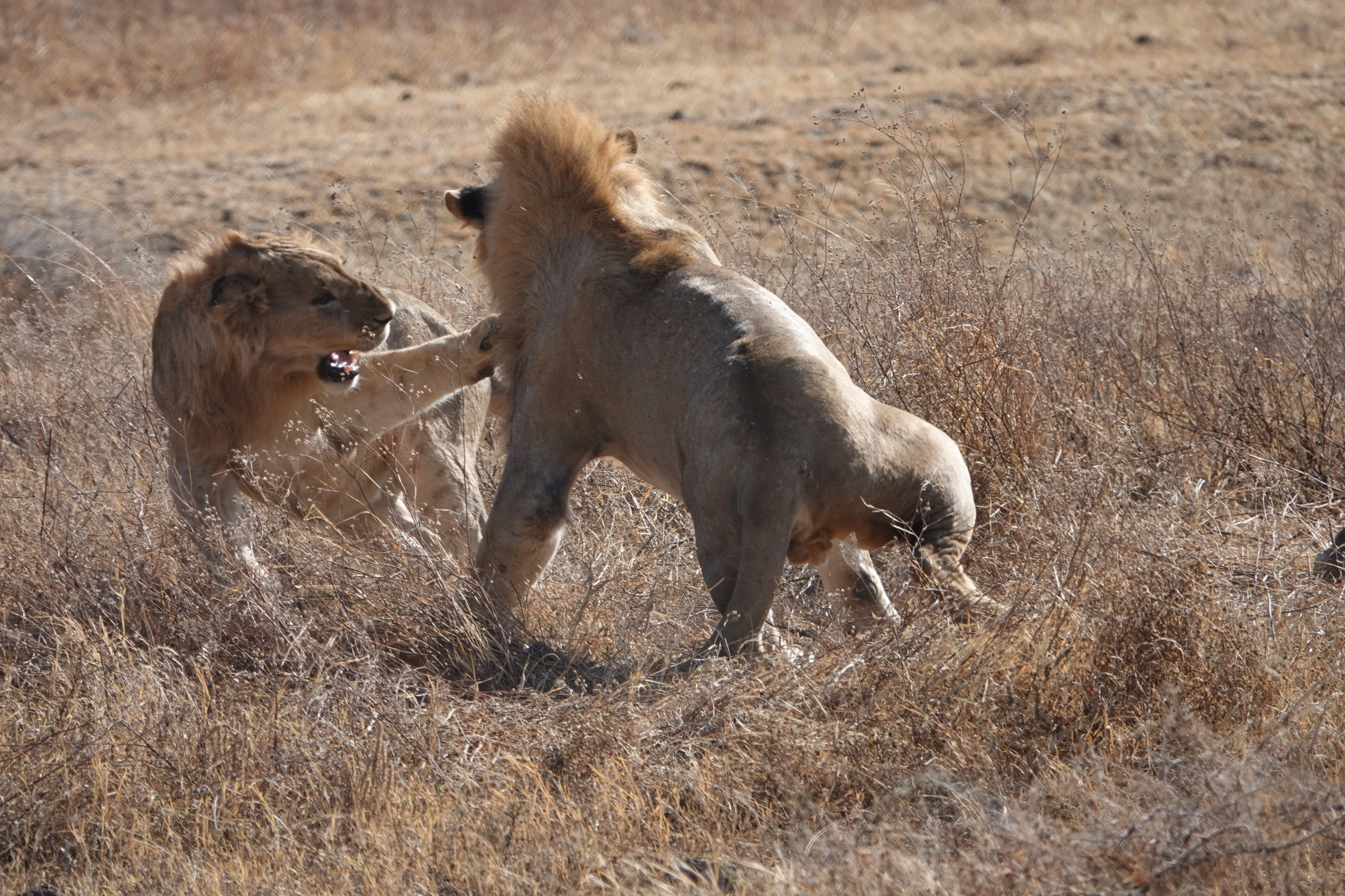 Tanzania 01589