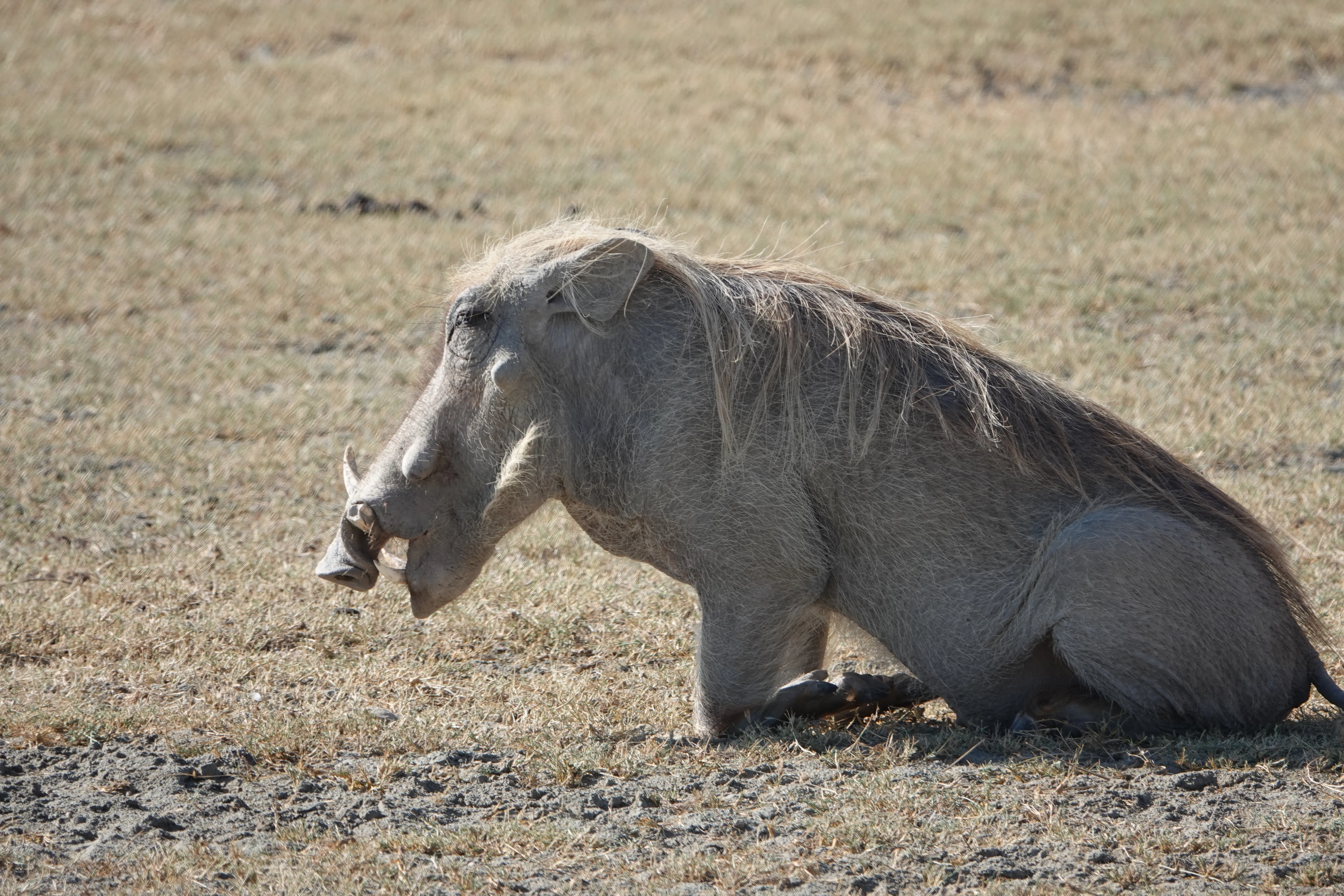 Tanzania 01622
