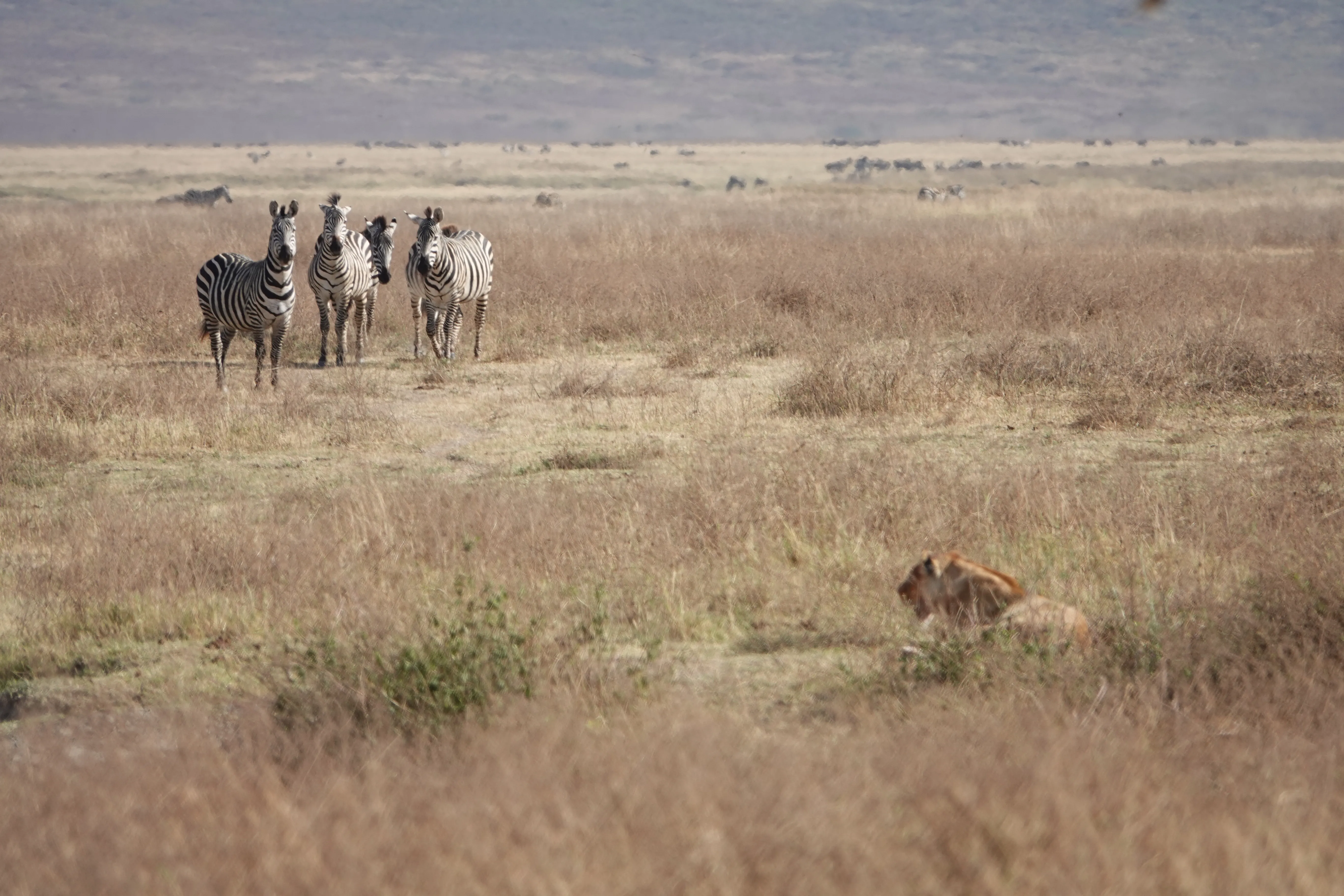 Tanzania 01648