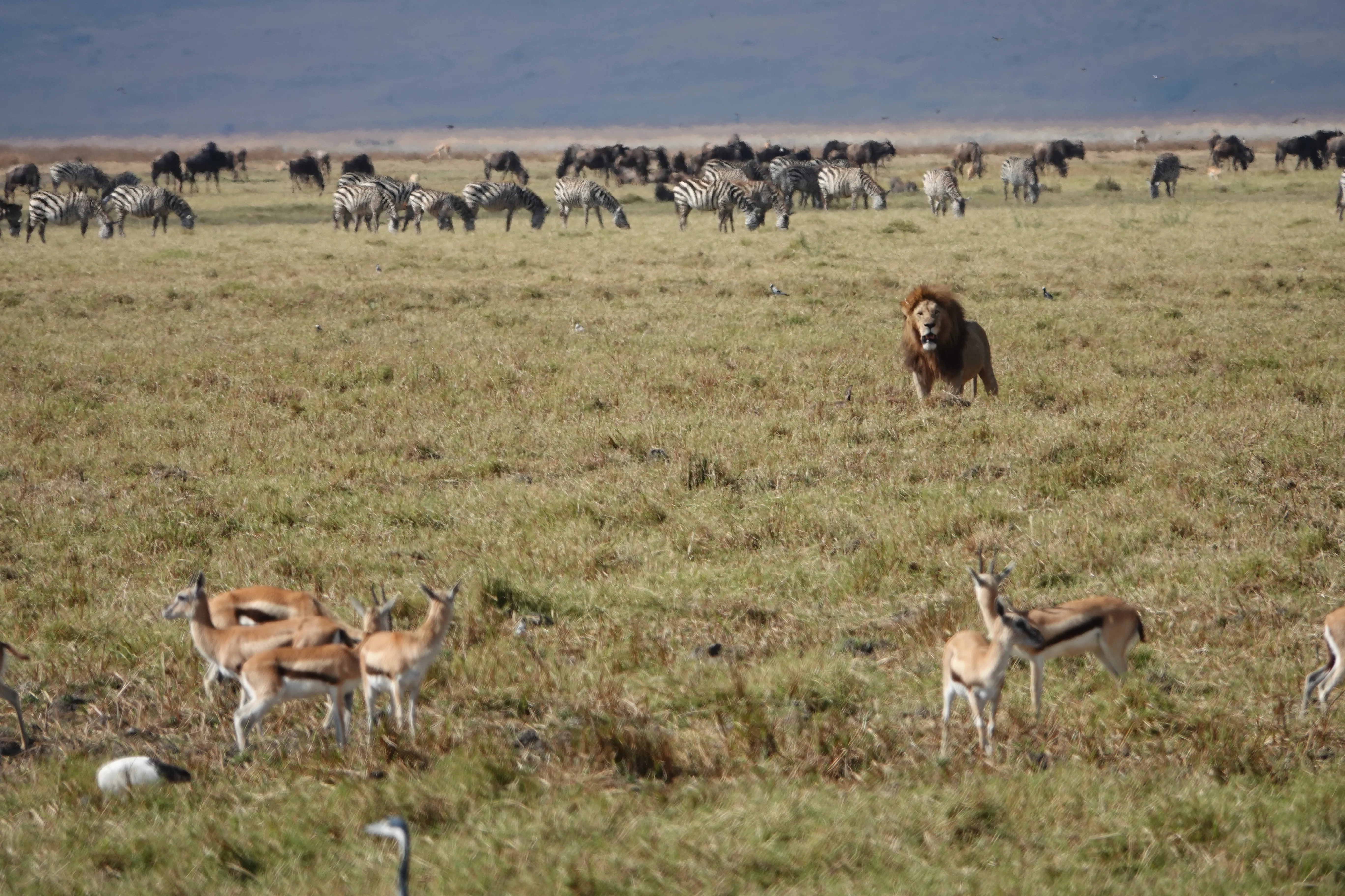 Tanzania 01765
