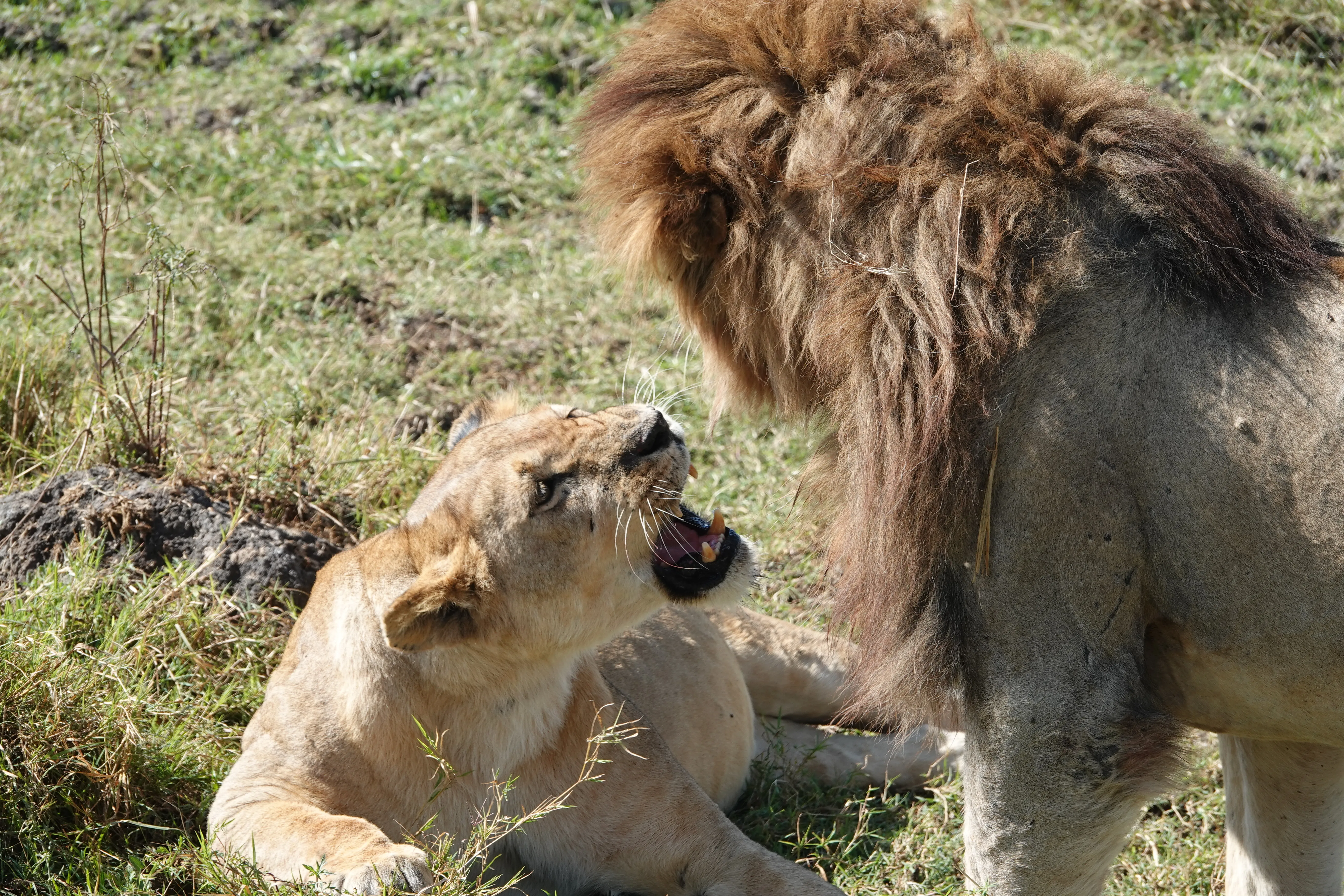 Tanzania 01801