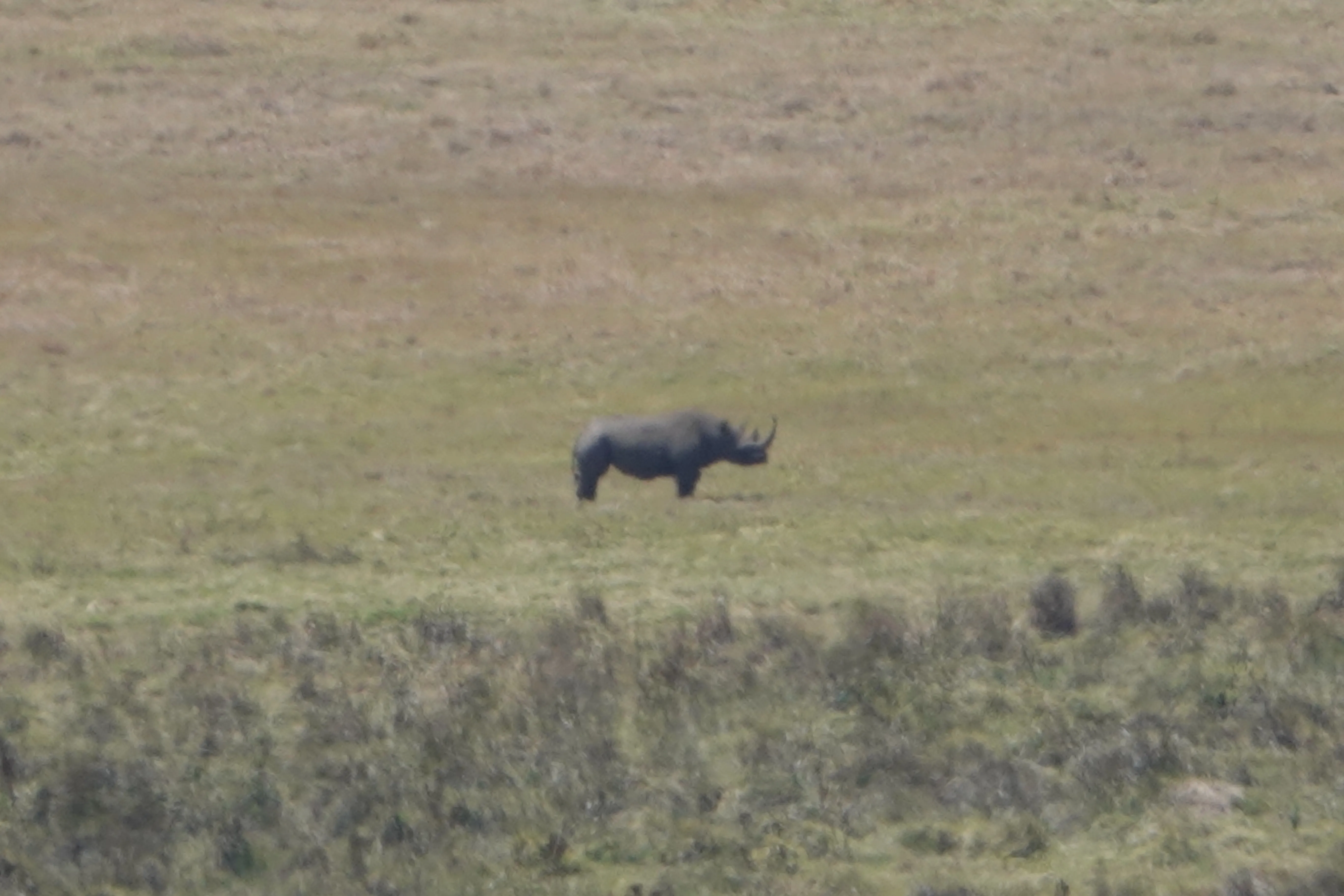 Tanzania 01853