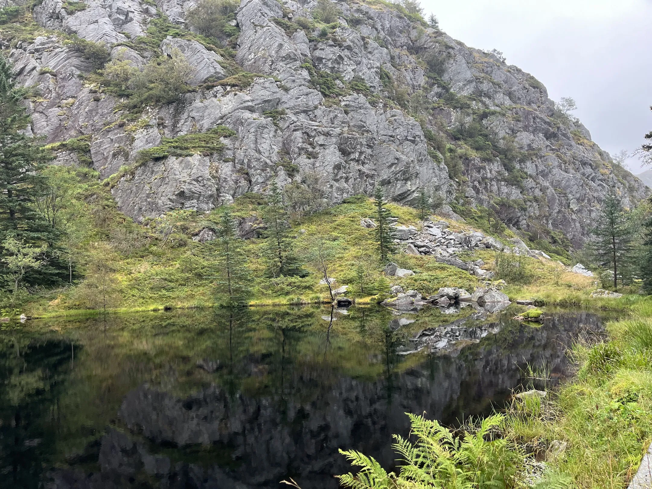 Bergen 6