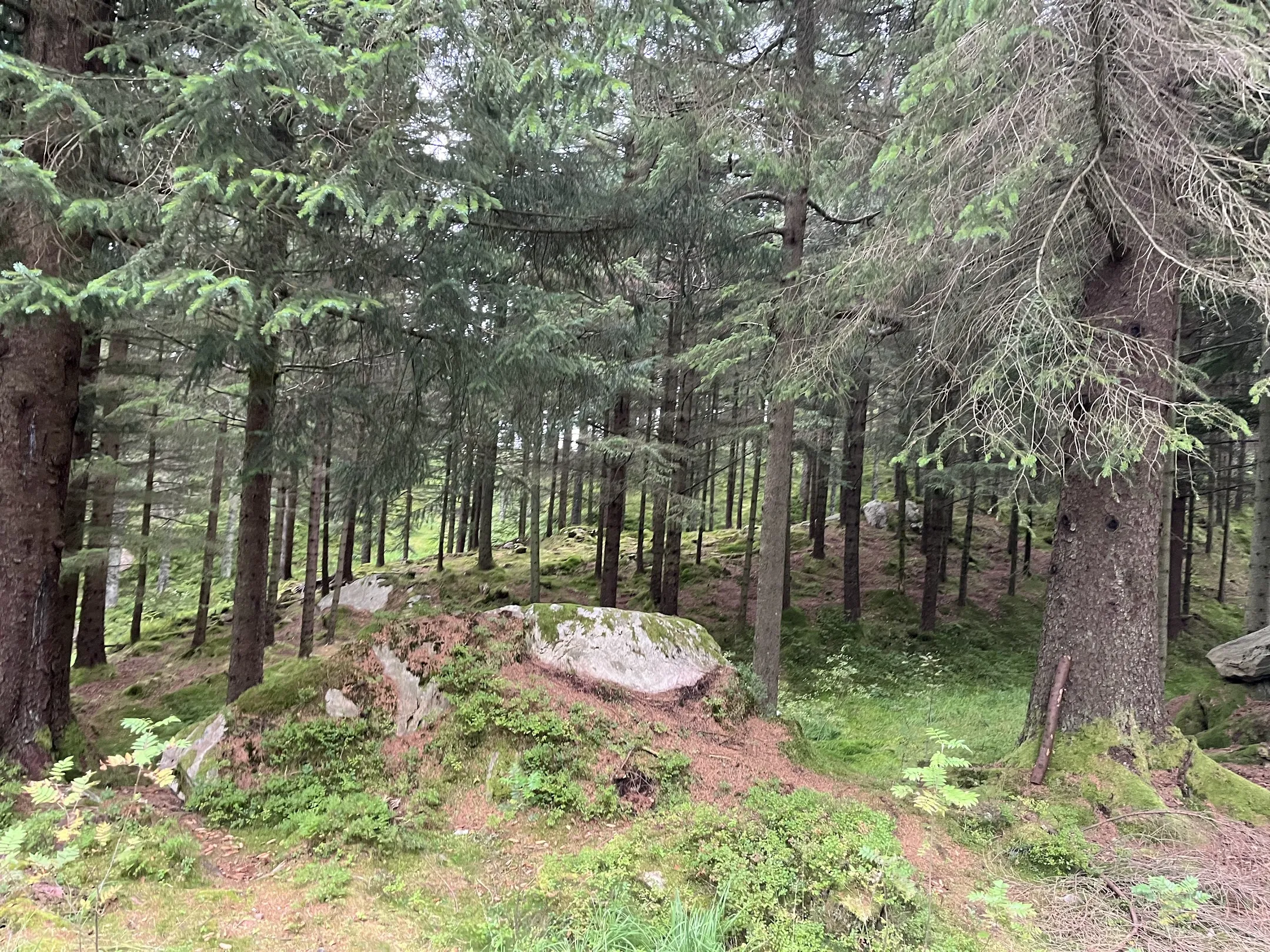 Bergen Hike2